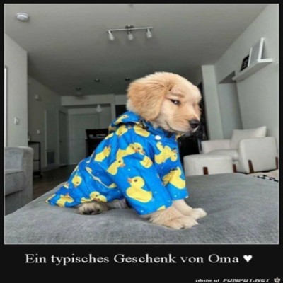 Das-war-die-Oma.jpg von Enya