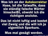 Die Autokorrektur