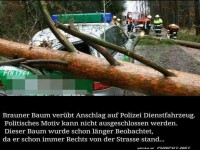 B�ser Baum