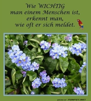 Wie-wichtig.jpg auf www.funpot.net