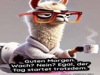 Mdes Lama mit Kaffee startet in den Tag