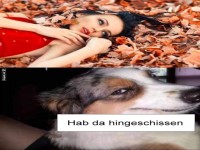 Ups, das waren nicht nur Bl�tter!