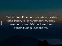 Freunde oder Herbstlaub - Wer weht weg?