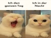 weiter