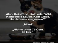 Katzen-Gourmet: Hohe Anspr�che an Dinner!