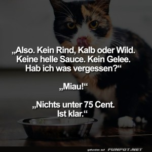 Katzen-Gourmet:-Hohe-Ansprche-an-Dinner!.jpg von Louisa