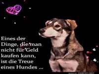 Whrung der Hunde: Kuschel-Dollars