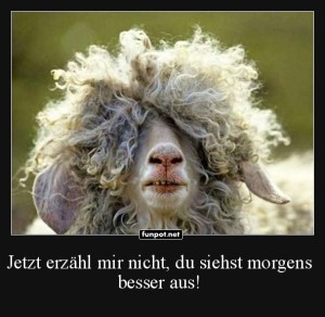 fun-Bild: Fr&uuml;hst&uuml;cksfrisur deluxe