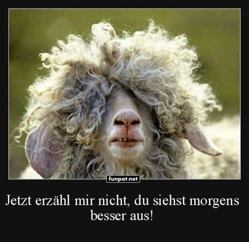 Fr�hst�cksfrisur-deluxe.jpg auf www.funpot.net