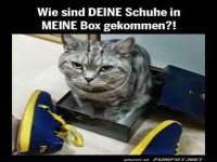 Das ist meine Box