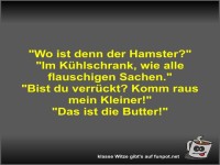 Wo ist denn der Hamster?