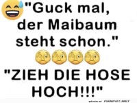 Der Maibaum steht bereit, aber die Hose nicht.