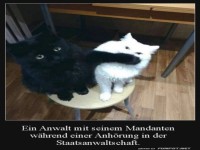 Der Anwalt bei der Anh�rung