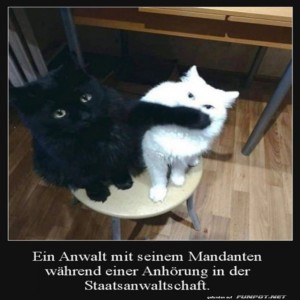 fun-Bild: Der Anwalt bei der Anh&ouml;rung