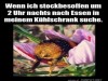 weiter