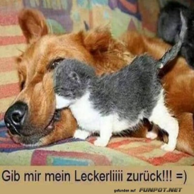 Gib-das-zur&uuml;ck.jpg von Josie-96