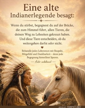 Tierische-T�rsteher-im-Himmel.jpg auf www.funpot.net