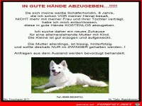 in gute Hände abzugeben