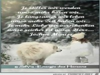 Je stiller wir werden