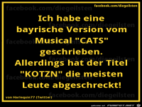 diegeilsten CATS