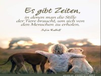es gibt zeiten