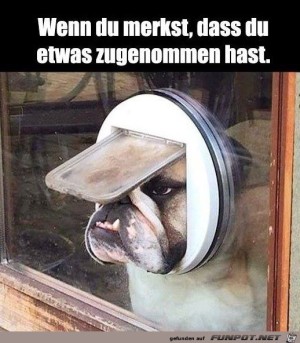 Wenn-du-etwas-zugenommen-hast.jpg auf www.funpot.net