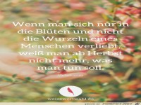 Wenn man sich nur in die Blueten