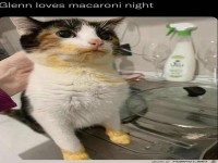 Da hat wohl einer Essen probiert