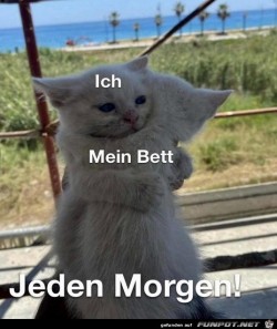 Jeden-Morgen.jpg auf www.funpot.net