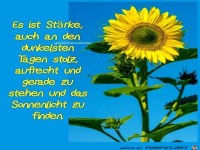 Es ist Strke auch an den dunkelsten Tagen