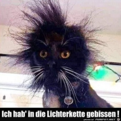 Etwas-elektrisiert.jpg von Jonah