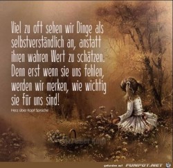 Viel zu viel