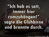Die Glühbirne
