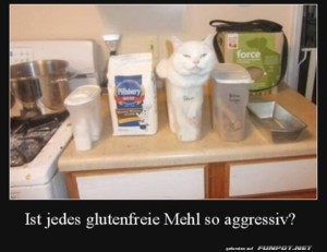 fun-Bild: Glutenfreies Mehl