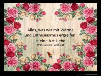 Alles was wir mit Wrme