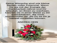 deine wnsche sind wie kleine samen