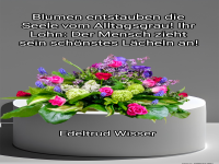 blumen entstauben die seele