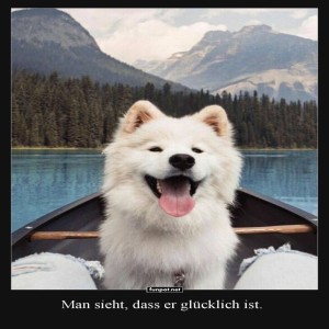 herz-Bild: Pfoten-Abenteuer mit Happy Floof
