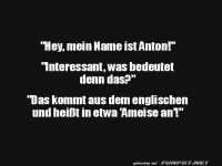 Wie Anton zur Ameise wurde!
