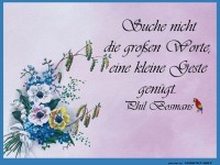Suche nicht die gro�en Worte