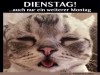 weiter