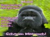 weiter