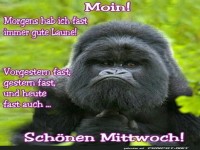Sch�nen Mittwoch