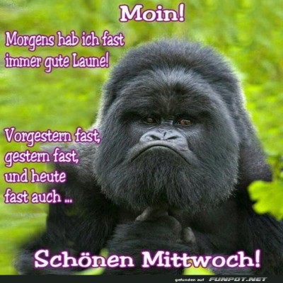 Schönen-Mittwoch.jpg von Annelie-68