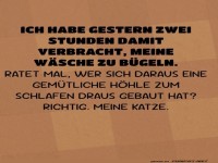 Die Kunst des B�gelns und der Katzentr�ume