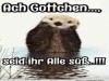 weiter