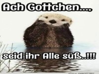 Flusselfe auf Kuschelmission!