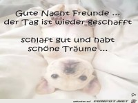 gute nacht freunde
