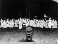 keine Angst - die wollen alle nur spielen