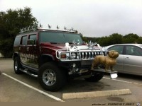 24739 pic-dump-264-7-Boxauto